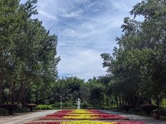 -黑龙江省森林植物园