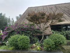 -老房子金沙元年川菜食府·花园餐厅(金沙店)