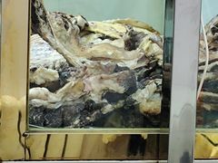 -老字号有尔烤肉面片(金牛小区店)