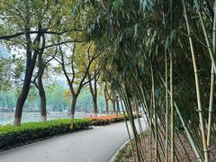 -宝岛公园