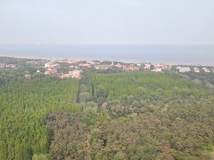 -日照海滨国家森林公园