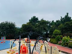 -铁山坪森林公园