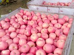 -高基五春川炒鸡排(威海总店)