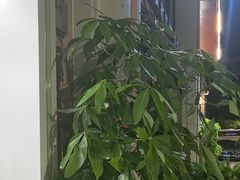 -足本纪·足道 SPA 简餐 小吃(文三西路店)