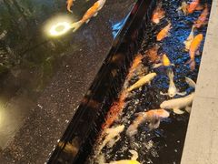 -弘安丽水温泉酒店