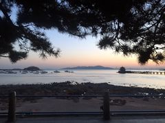景点-栈桥景区