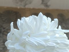 -国家植物园