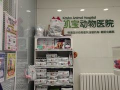 -悦宠凯宝动物医院·牙科·皮肤科(朝阳北路店)