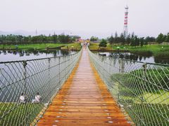 -羊亭河湿地公园