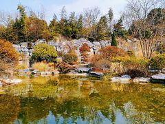 -上海吴淞炮台湾国家湿地公园