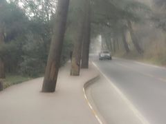 -紫金山山顶公园