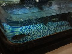 -丽景酒楼·佛山老字号(广佛智城店)
