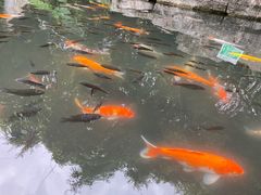 -青青世界