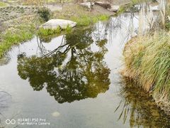 -上海植物园-4号门售票处