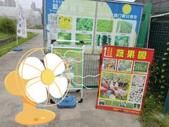 -菊园百果园