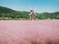 -蛇蟠岛