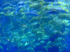 -成都浩海立方海洋公园