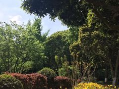 周边环境-上海市保健医疗中心(华东疗养院)
