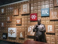 -广东中医药博物馆