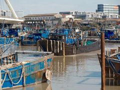 -海峡水产品交易中心(海鲜交易区)