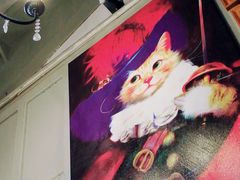 -猫咪博物馆(顶澳仔猫街店)