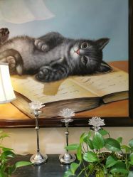 -咪咪比基尼脱毛专业店