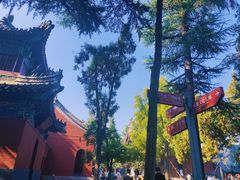 -洛阳白马寺