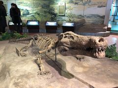 -自贡恐龙博物馆