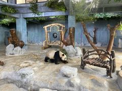-海南热带野生动植物园