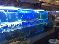 -鑫巴蜀小镇 · 水煮鱼专研店(玉桥店)