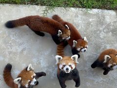-杭州野生动物世界