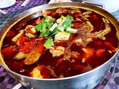 豆腐鱼火锅-江龙饭店·乌江豆腐鱼(乌江老桥头店)