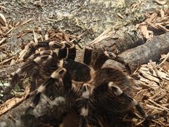 -太平洋海底世界