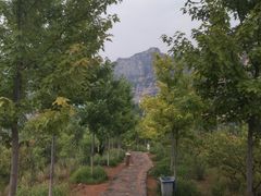 -十渡高山漂流