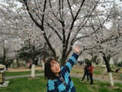 -堤角公园