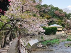 -月光园游月山庄