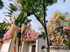 -深圳国际园林花卉博览园