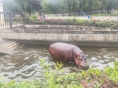 -合肥野生动物园