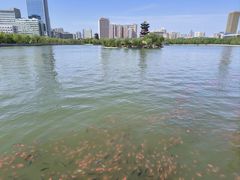 -迎泽公园