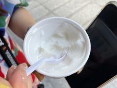 -洪馨椰子