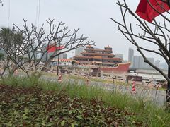 -野狸岛