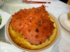 蟹盖蒸蛋-荔城生鲜盛宴(番禺旗舰店)