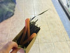 -上海大自然野生昆虫馆(东方明珠·爬宠昆虫探索中心)