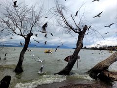 -捞渔河湿地公园