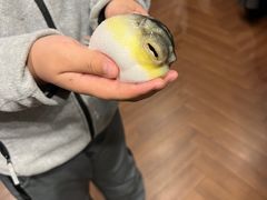 -肆月河豚·新淮扬(金融街店)