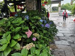 -园林美食城·本土农家菜(杨和镇店)