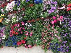 -无锡文化工艺品市场(槐古路店)