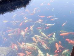 -宁波杭州湾国家湿地公园
