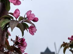 -君乐宝优致牧场