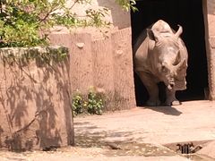 -重庆动物园·东二门售票处